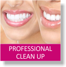 Professional Clean Up